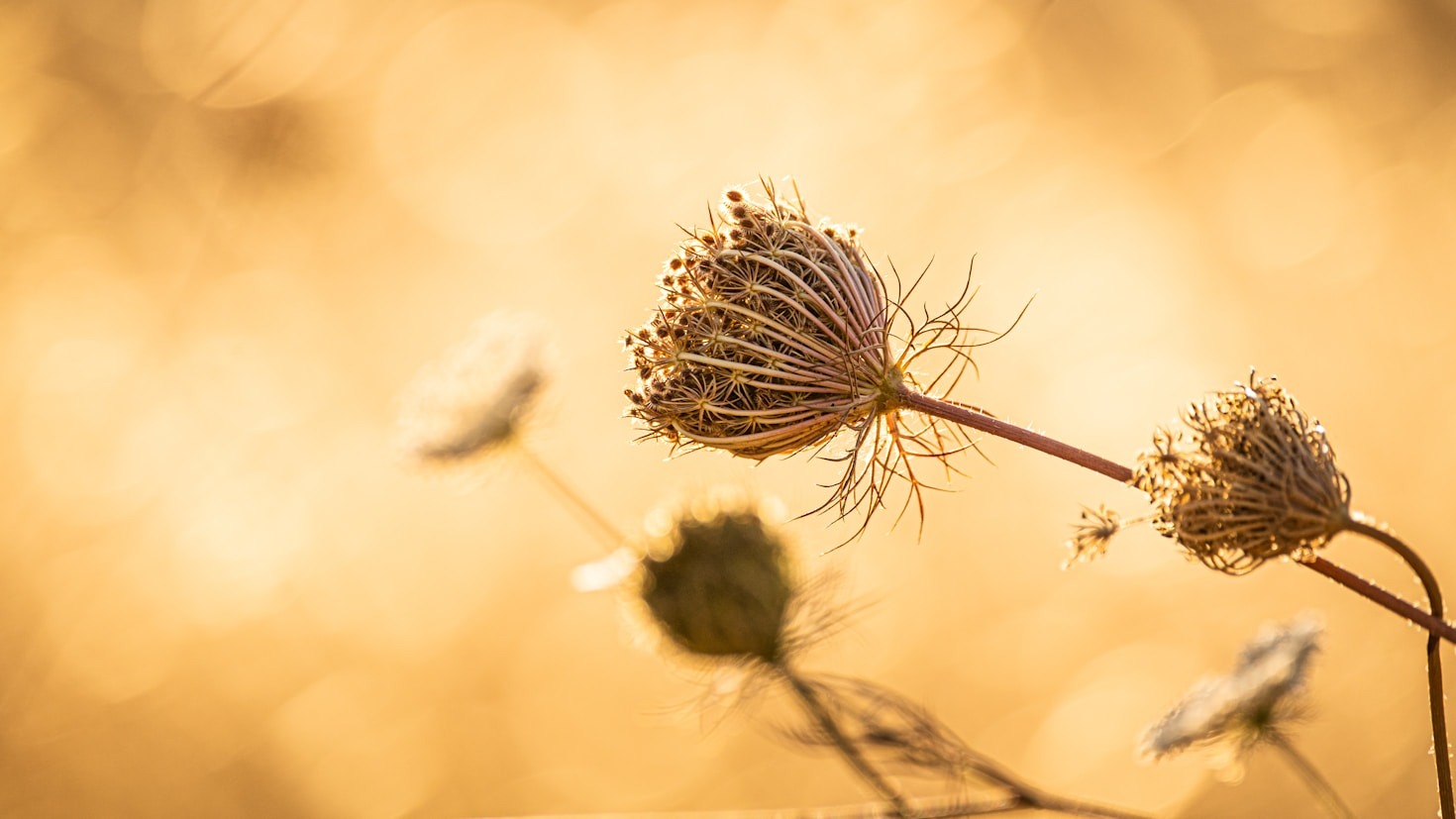 Understanding the Connection Between Movement and Harmony
